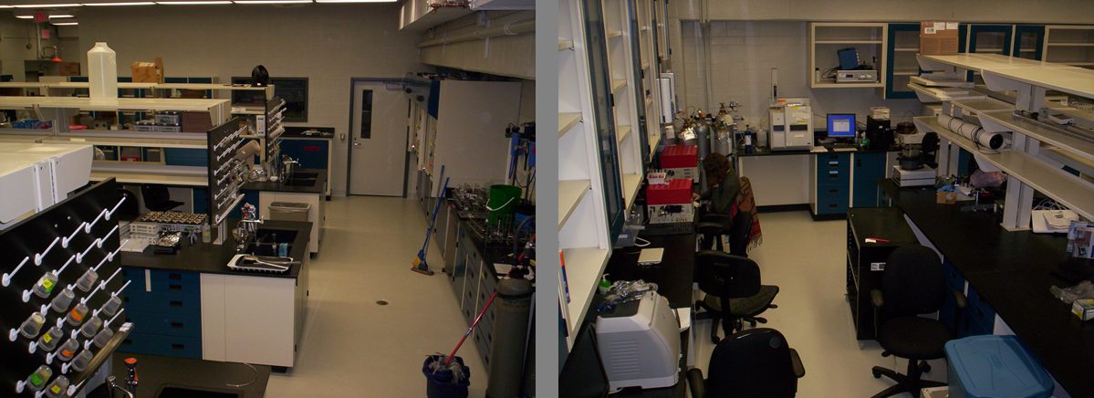 The shared analytical laboratory with sample-preparation benches