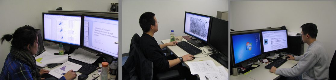 Lab members working at the workstations of the computational laboratory