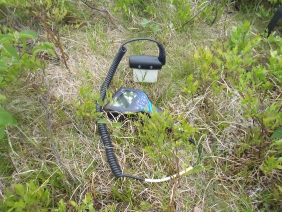 The HydroSense II display and its soil moisture probe on the ground during wetland fieldwork