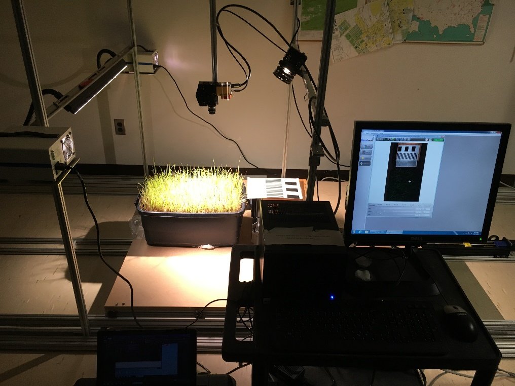 A tray of grass under the hyperspectral imager and lights of the linear stage, with the control computer