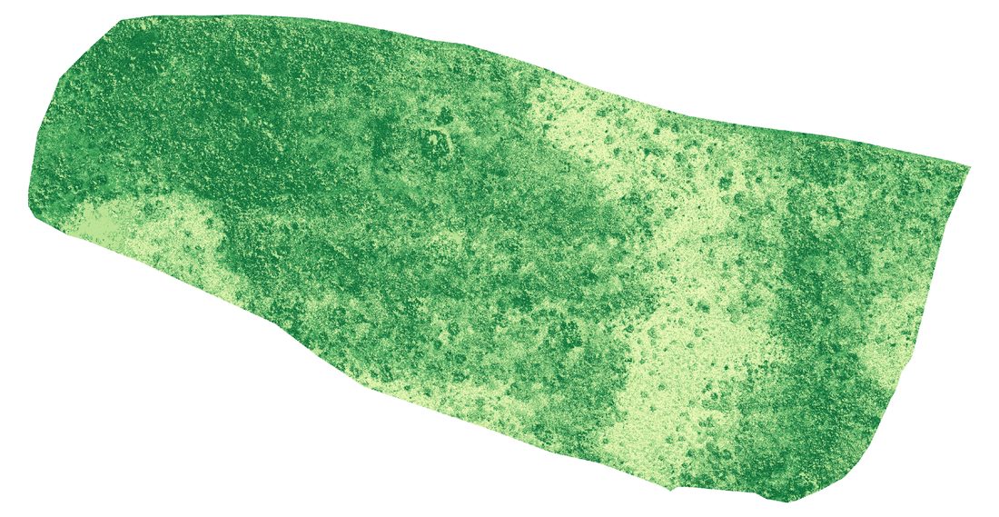 Map of fractional green vegetation cover at site one, 5 July 2023