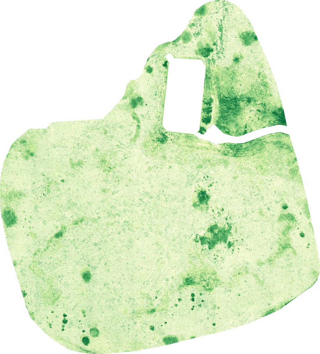 Map of fractional green vegetation cover at site two, 19 May 2023