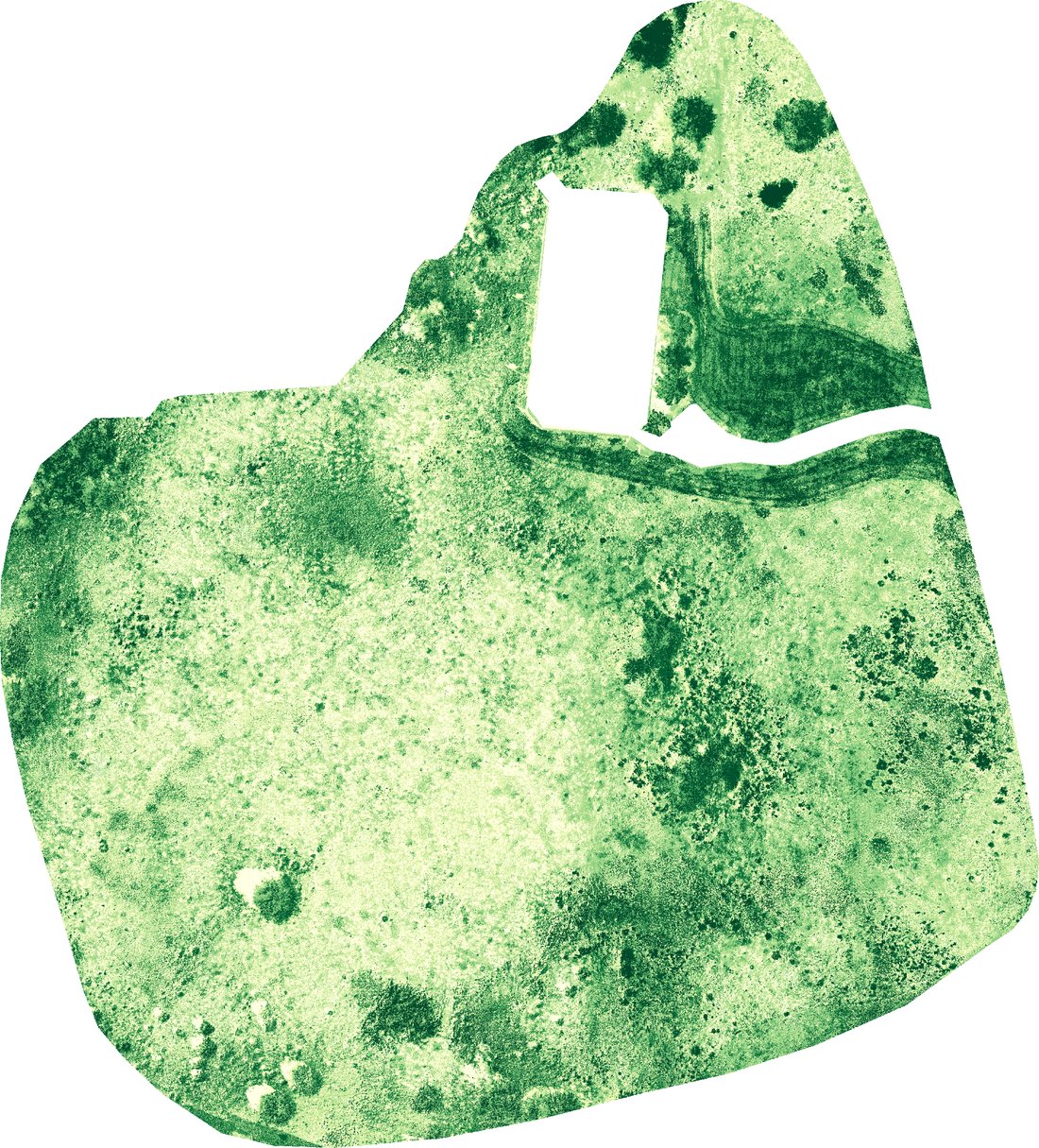 Map of fractional green vegetation cover at site two, 30 July 2023
