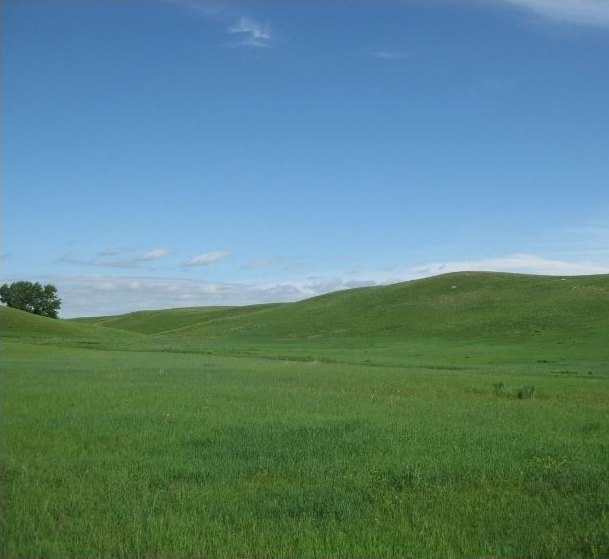 Green rolling hills of a grassland site under a blue sky