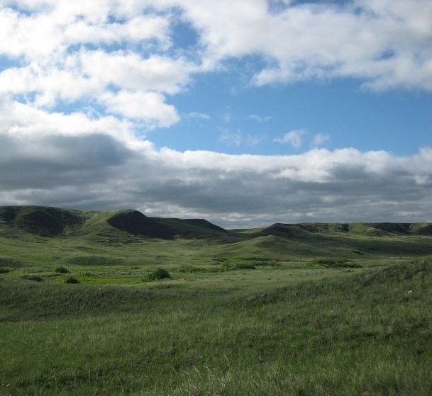 Rolling prairie grassland under a cloudy sky